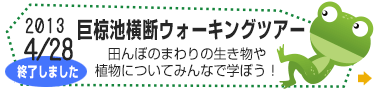 田んぼ探検隊