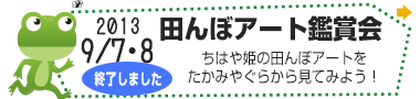 ちはや姫田んぼアートたかみやぐら見学会